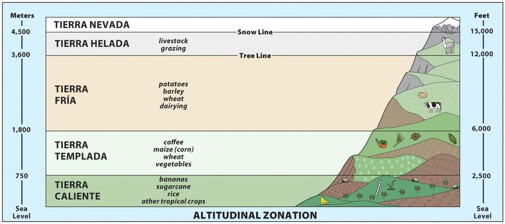 Physical Geography: Altitudinal Zonation of Environments High relief environmental regions Zones have distinct
