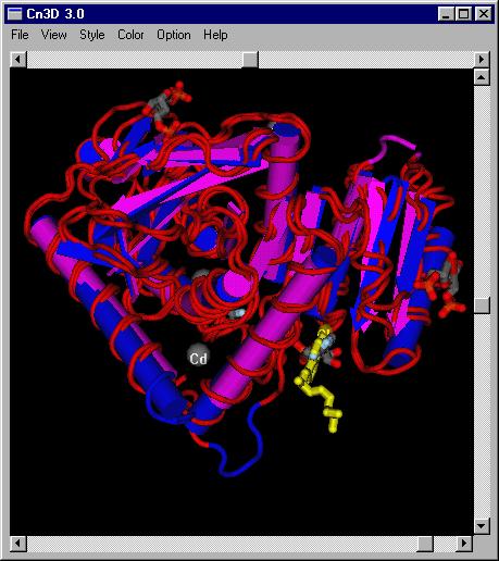 Dobbs ISU - BCB 444/544X: Protein Structure