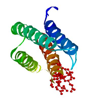 Dobbs ISU - BCB 444/544X: Protein Structure Prediction 38 Protein typical energy function MTYKLILNGKTKGETTTEAVDAATAEKVFQYANDNGVDGEWTYTE What is