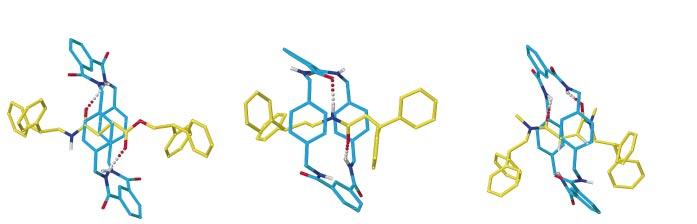 A, a, Fumaramide; A, b, N,N 0 -dimethylfumaramide; A, c, succinic amide ester; A, d, single amide; A, e, N,N 0 -dimethylmaleamide.