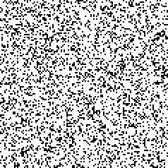 Figure 4.8. An initial point for R Figure 4.9. Sixty-four iterations of R see that there are 1 + ( 9 1) + ( 9 2) = 46 such patterns.