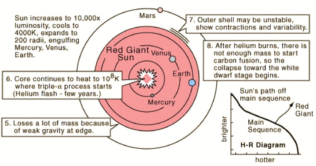 Red Giant Phase of Sun: t minus 5 b.y. For stars of less than 4 solar masses, hydrogen burn-up at the center triggers expansion to the red giant phase.