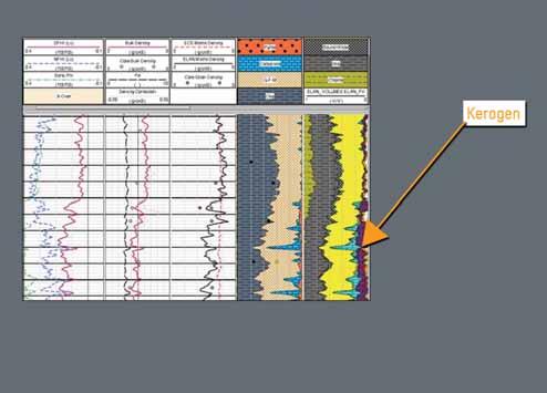 These data are the basis for accurate pressure profiles and mobility measurements that can be integrated with petrophysical, seismic and conventional log data for a more complete reservoir picture.