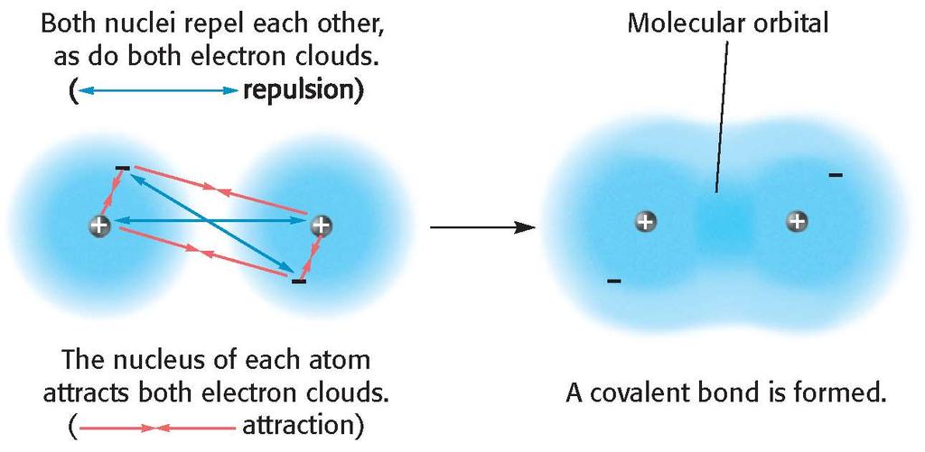 Section 2 Covalent Bonding and