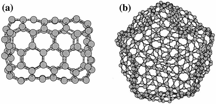 Carbon Nanostructures under Pressure 17 Figure 2. Figures of C 100 and C 540 after their compression at 5 GPa. Their initial shape was oval and spherical, correspondingly.