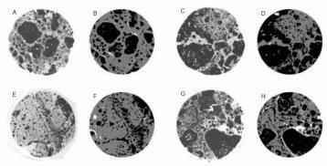 Fig. 29 Imaginile optice (A, C, E şi G) si imaginile tomografice corespunzatoare (B, D, F si H) ale unor esantioane cu diametrul de 2,5 cm prelevate de la adancimea de 3670 m din regiunea