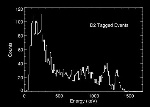 Fig. 18. Calibrated in-flight energy count spectrum of tagged D2 singles events.
