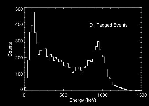 Fig. 20. Calibrated in-flight energy count spectrum of tagged D1 singles events.