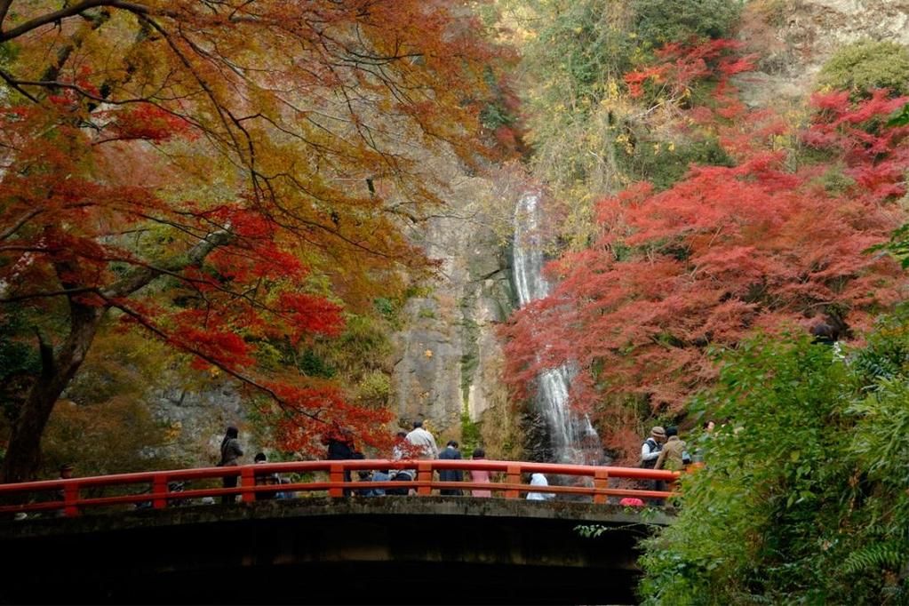 Osaka Minoh Waterfall R. Talwar, 1, T. Adachi, 2 G. P. A. Berg, 1 L. Bin, 3 S. Bisterzo, 4, 5 M. Couder, 1 R. J. deboer, 1 X. Fang, 1 H. Fujita, 2, 3 Y. Fujita, 2, 3 J. Görres, 1 K. Hatanaka, 2 T.