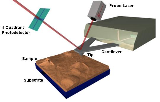 Atomic Force Microscopy A physical probe is used to scan a surface and determine topography A laser is pointed at the tip and reflected to a sensor The interaction as a function