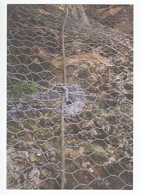Rock bolt Anchor wire Rock netting Figure 16: Rock Netting Firmly Fixed to the Rock Slope Surface by Rock Bolt with the Help of Anchor Wire at Location 5 Unstable Boulder at Location 5 Loose soil