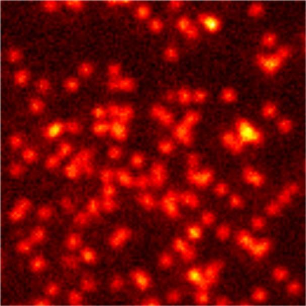fluorescence cool the atoms Imaging of