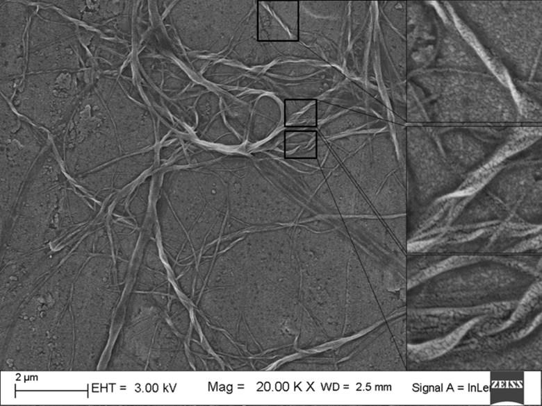 9. FE-SEM and TEM Images of aggregates α-nq The morphology of the aggregates of α-nq was determined by field effect scanning electron microscopy (FE-SEM).