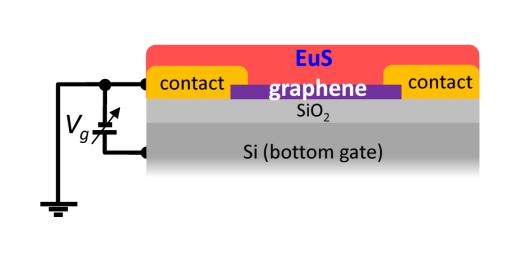 preserved Raman spectra: graphene