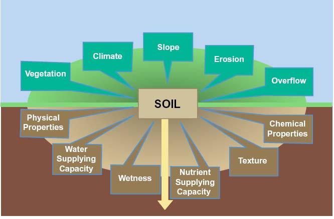 Soil as an Integrator (soil forming factors) Soil
