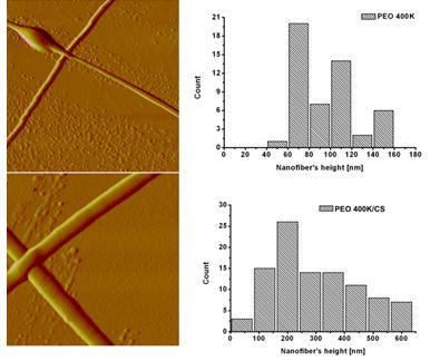 DSC results of CS: PEO = 10:90 Sample T m ( C) H (J/g) PEO 400K powder 64-230.6 PEO 400K nanofibers 61-179.5 PEO nanofibers 400K/CS 69-124.4 Janković B.