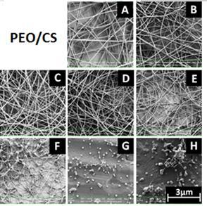 The impact of ambient parameters on nanofiber formation Pelipenko J et al.