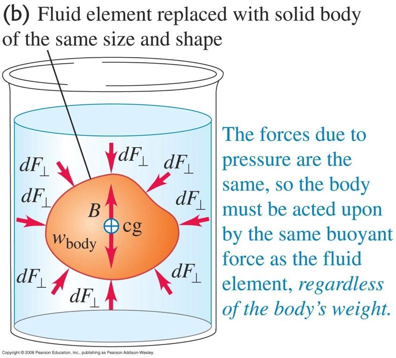 Buoyancy and Archimedes Principle The buoyancy force (B) comes from the net effect that the pressure pushing up from the bottom of the object is greater the pressure pushing down on an object from