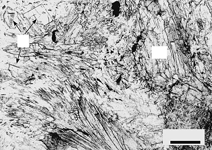 Microphotographs of thin sections with microtextural relations between minerals in the pristine rocks (I) and rocks at different