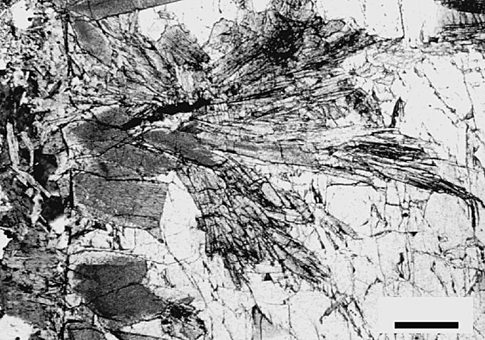 (f) Full pseudomorphic replacement of andalusite crystals by a Ms Qtz aggregate in inner zone IV. only in rocks from this zone.