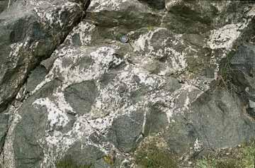 Britain s oldest rocks: remnants of Archaean crust 17 Each of the terranes has its own individual history, yet collectively they record a sequence of geological events spanning some 1300 million