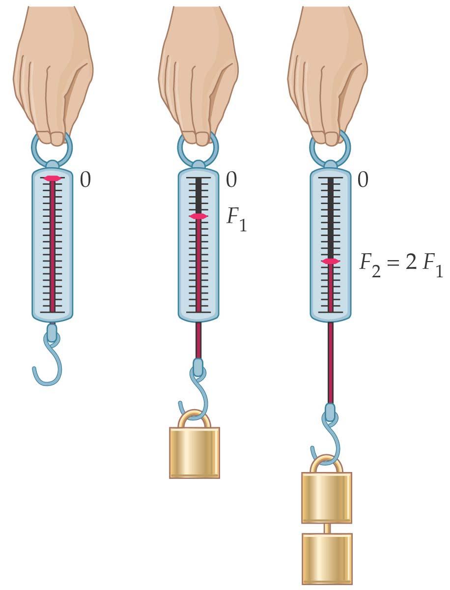 5-3 Newton s Second Law of Motion Two equal weights exert twice the force of one;