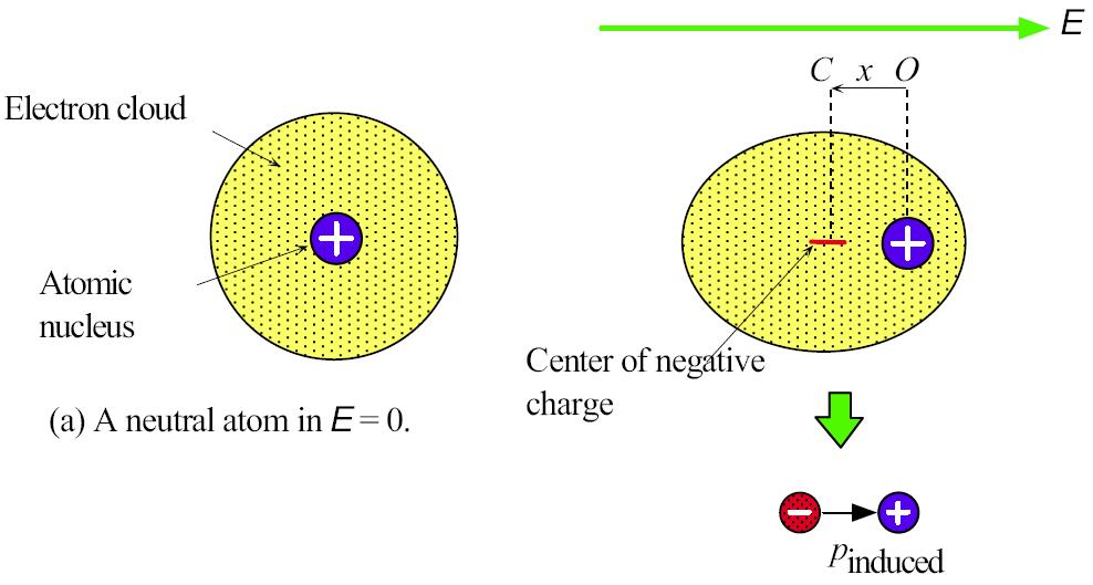 Electronic polarizability of an atom, e The force due to applied field pulls the nucleus and electron cloud apart.