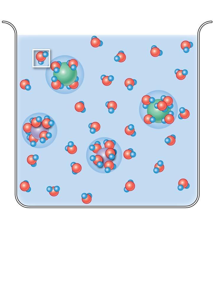 Figure 2-9b Water Molecules Surround Solutes in Aqueous Solutions. Hydration spheres Cl Na + b Sodium chloride in solution.