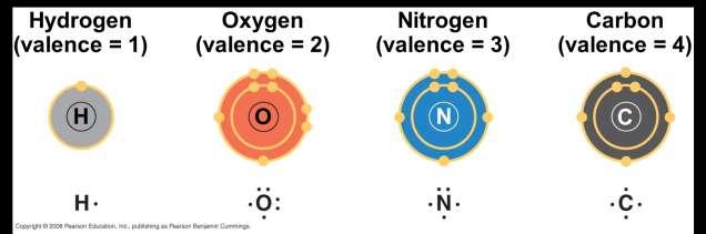 The electron configuration of carbon gives it covalent compatibility with many different elements The valences of carbon, along with its most frequent partners (O,H,N) are the basis for the rules of