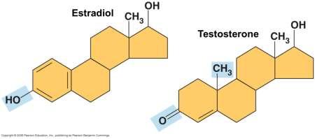 The Chemical Groups Most Important in the Processes of Life Functional groups are the components of organic molecules that are most commonly involved in chemical reactions The number and arrangement