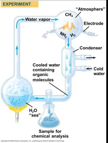 Experiment: In 1953, Stanley Miller set up a closed system to simulate conditions thought to have existed on early Earth 1) Water mixture in sea flask was heated; vapor entered atmosphere flask 2)