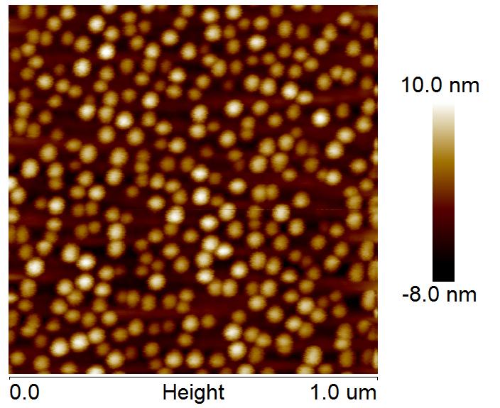 Result and discussions The laser devices have been studied. 1-µm GaAs buffer layer has been deposited on Si substrates similar to the test samples.