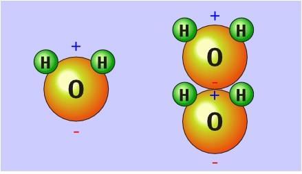 Water s Shape Water is a polar molecule Oxygen is slightly negative The Hydrogens are slightly