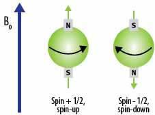 MR Physics: Spin Think of each hydrogen proton as a tiny bar magnet. 1 gram of your body has ~ 6x10 22 protons.