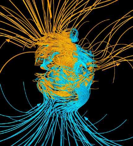 The Terrestrial Dynamo Motion in Earth s liquid