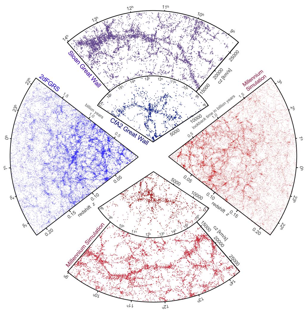 Simulated and observed largescale structure in the galaxy distribution