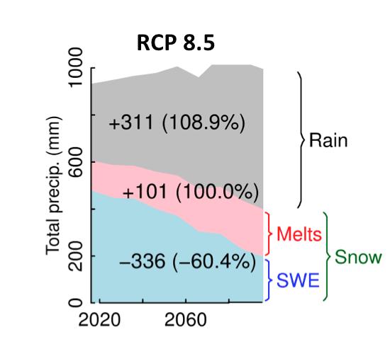 According to VIC--- end-of-century April 1 SWE losses in California occur mostly because of increased rainfall (and decreased snowfall), but are compounded