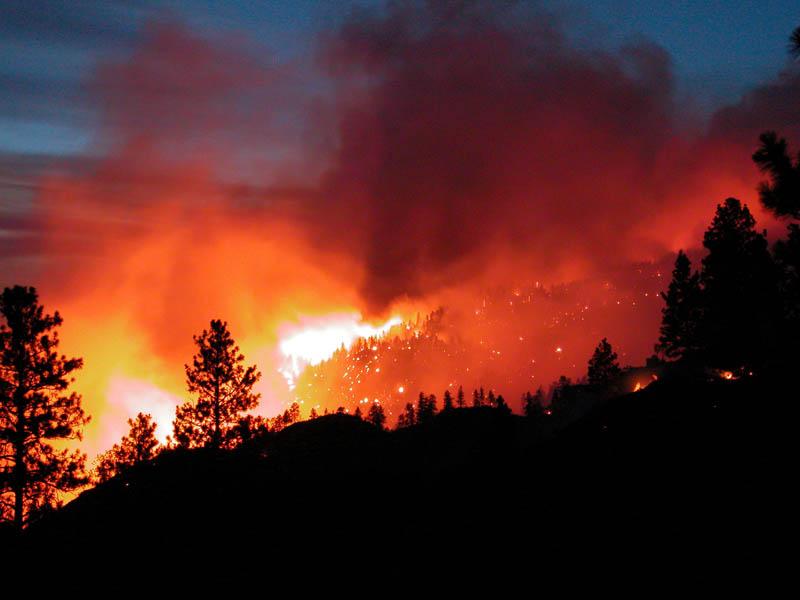since 1985 the number of large wildfires in western U.S.