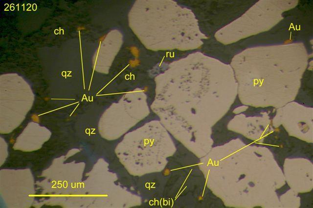 Polished Section of Gold Mineralization Gold Assay of 12.