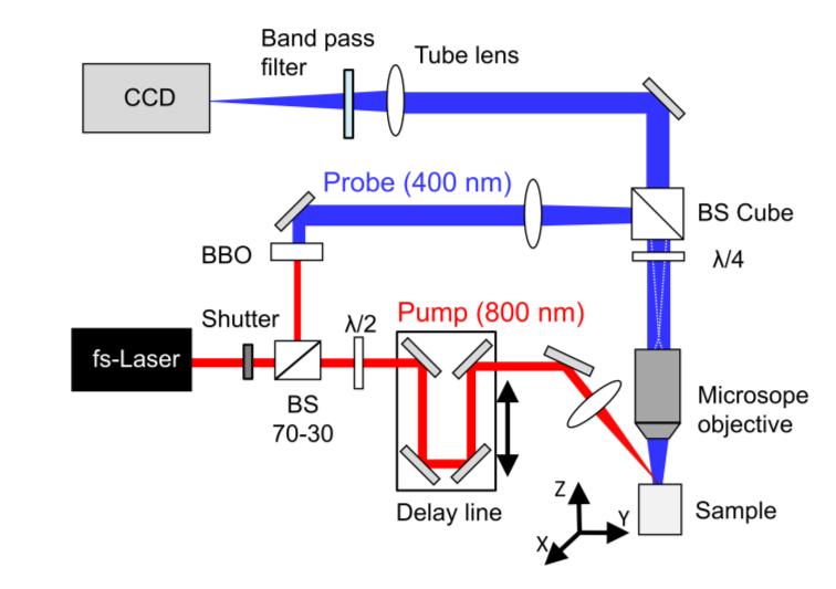 observed previously and the implications of their existence for the understanding of the ablation process in dielectrics.