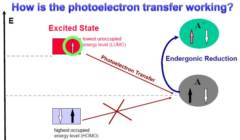 Elementary Processes in the PBB-Experiment: For a deeper understanding of the endergonic reduction of MV 2+, which is driven by light using PF + as photocatalyst, the energy level model is useful.