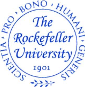 The Rockefeller University (Dino)