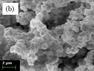 65 Field Emission Scanning Electron Micrograph (FESEM) Figure 3 displays the FESEM micrograph of all synthesized mesoporous silica materials. PMCM-41 (a) and PSBA- 15 (c) shows rod like.