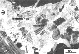 and (h) pyrite inclusion in ilmenite are extensively to