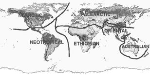 " (1855) Studying animal distributions 1) Map distributions 2) Explain distributions endemic