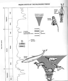 Cenozoic Era, Climate Changes, and Mammal Distribution: Cenozoic Era = period of