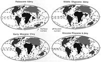 Cenozoic Era, Climate Changes, and Mammal Distribution: Some possible explanations: 2) Also, formation of major world mountain ranges -collection