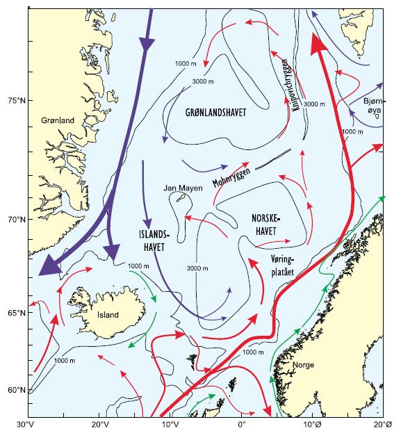 Deep sea environmental issues Deep sea bottom currents weak flow Oscillating deep sea currents local seasonal variations Surface currents in the North-Atlantic Measurements conducted by taking ADCP