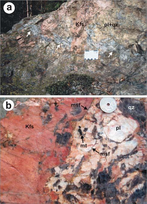 intergrowth (pl+qz). The section is crosscut by a flat, wormy and boudinaged quartz vein (arrows).