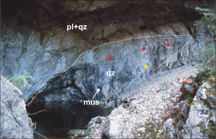 PD followed by quartz, albite and muscovite. Accessory Fe-oxides are common. The dykes are composed of alternating pegmatitic and aplitic layers with comb quartz.